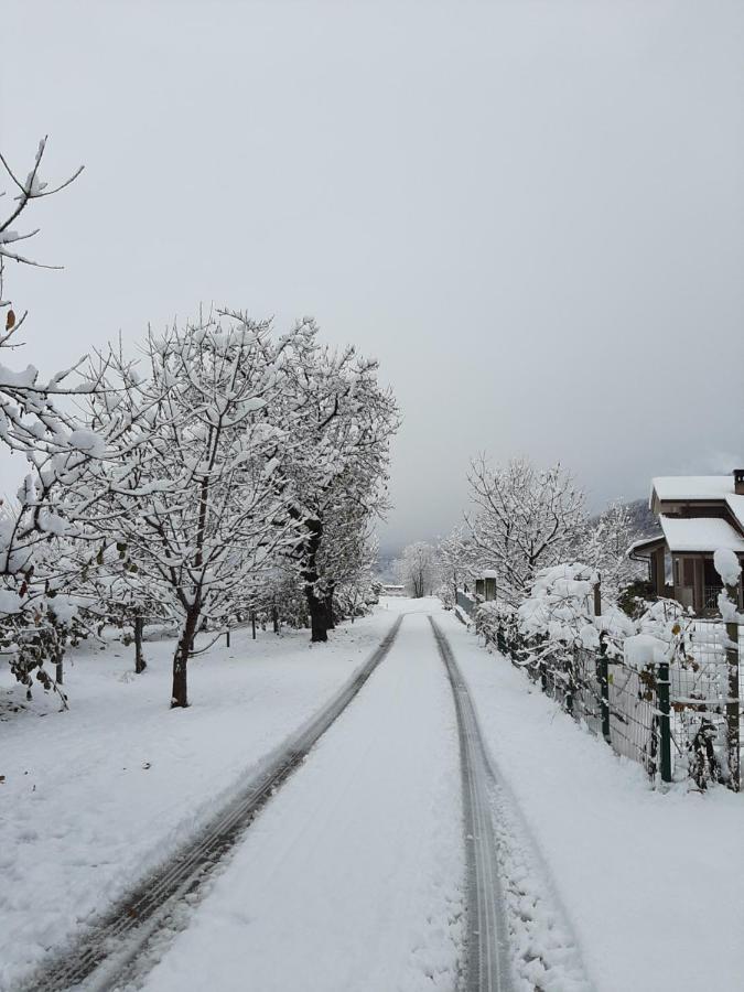 Agriturismo Fior Di Campo Дронеро Екстер'єр фото
