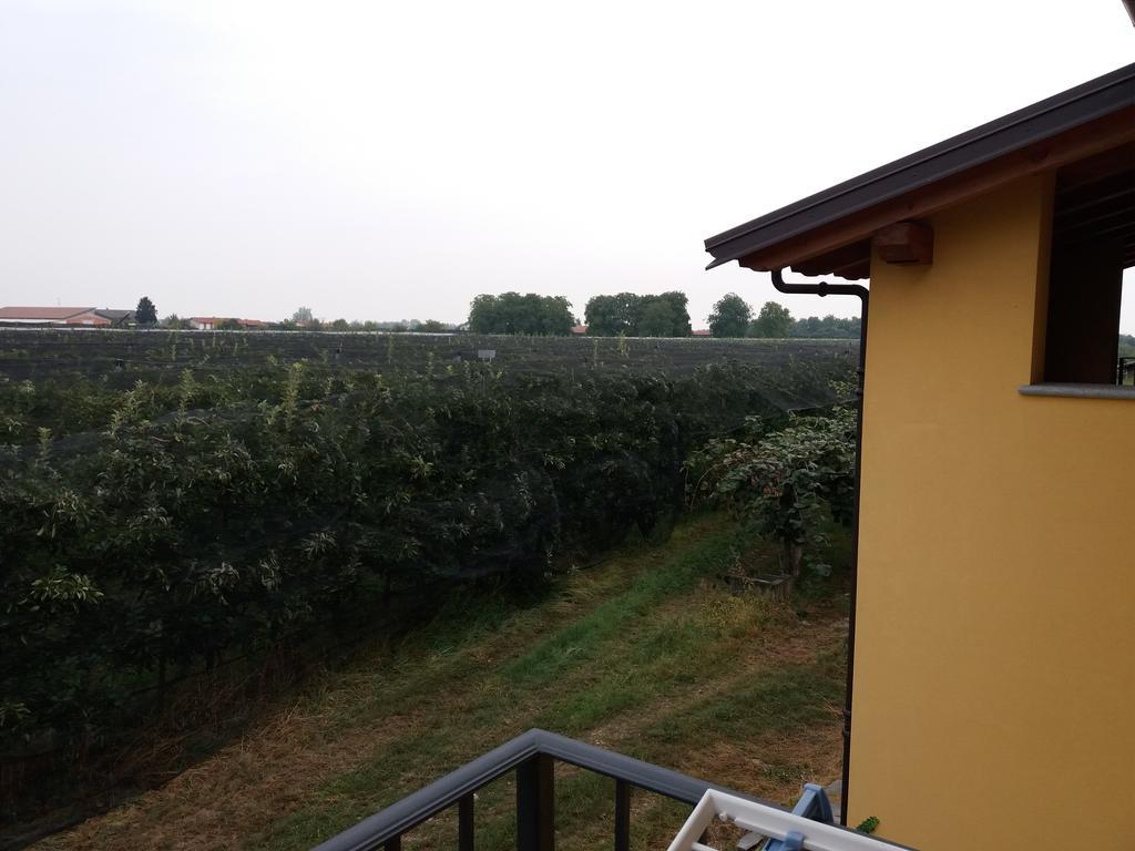 Agriturismo Fior Di Campo Дронеро Екстер'єр фото